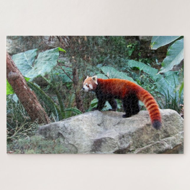 red panda jigsaw puzzle (Horizontal)
