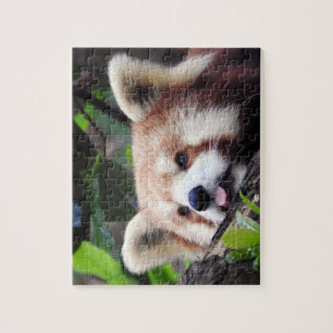 Red Panda Jigsaw Puzzle