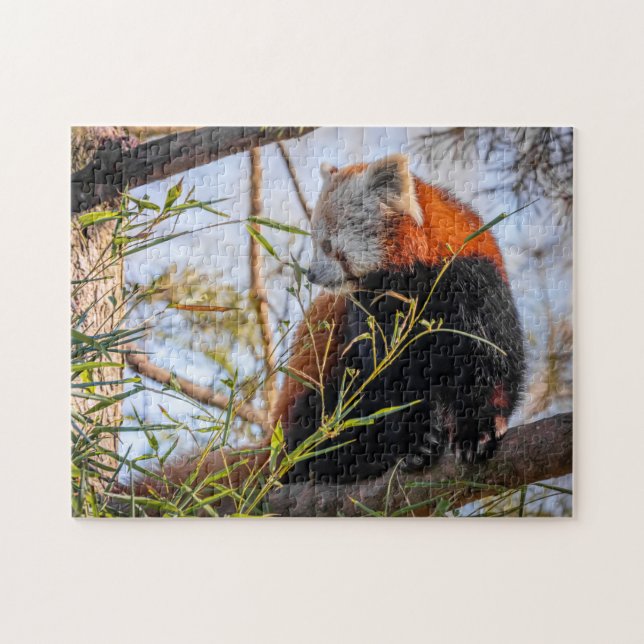 Red panda jigsaw puzzle (Horizontal)