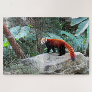 red panda jigsaw puzzle