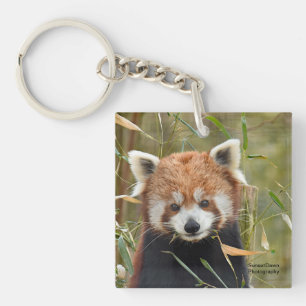 Red Panda Key Ring