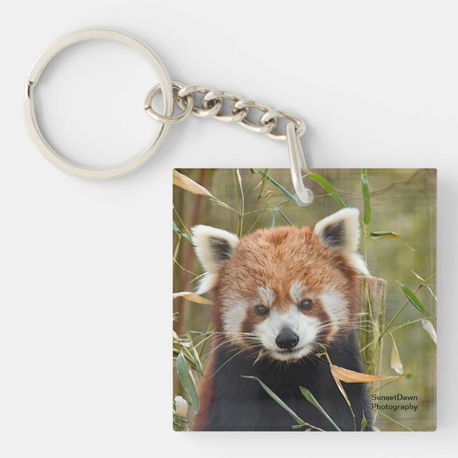 Red Panda Key Ring (Front)