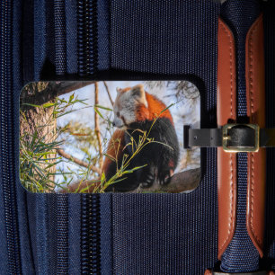 Red panda luggage tag