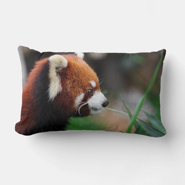 Red panda lumbar cushion (Front)