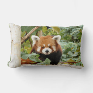 Red Panda Lumbar Cushion