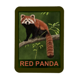 Red Panda Magnet