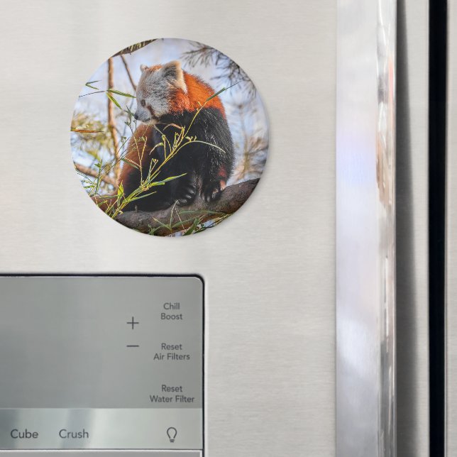 Red panda magnet (In Situ (Fridge))