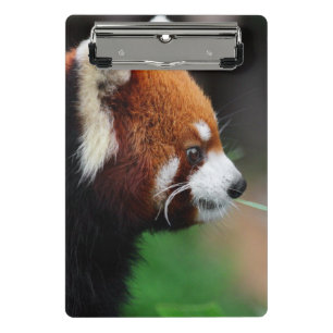 Red panda mini clipboard