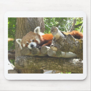 red panda mouse pad