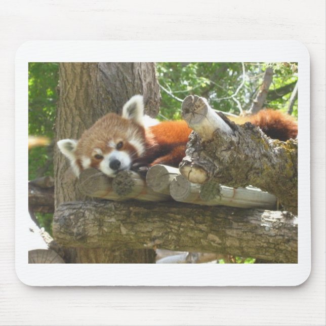 red panda mouse pad (Front)