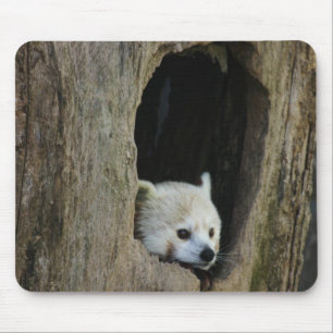 Red Panda Mouse Pad
