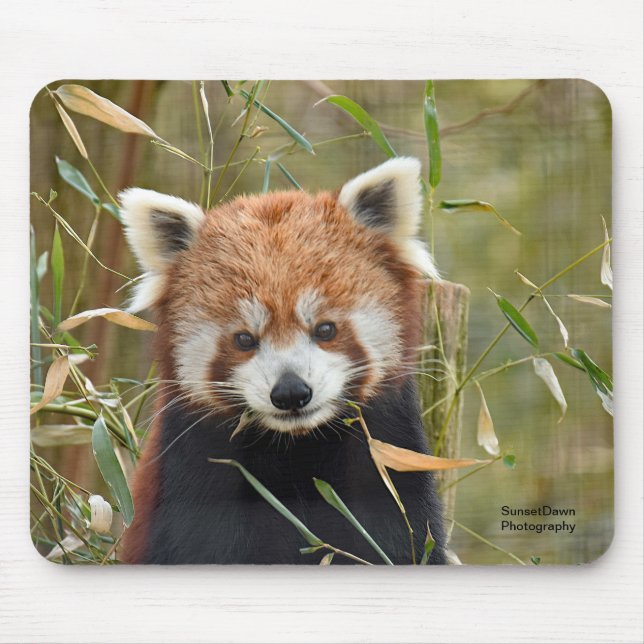 Red Panda Mouse Pad (Front)