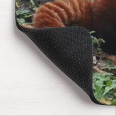 Red Panda Mouse Pad (Corner)