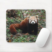 Red Panda Mouse Pad (With Mouse)