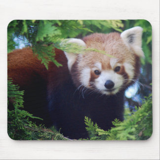 Red Panda Mousepad