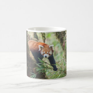 Red Panda Mug