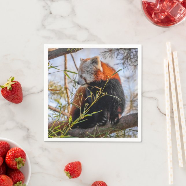 Red panda napkin (Insitu)