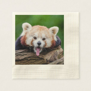 Red Panda Napkin