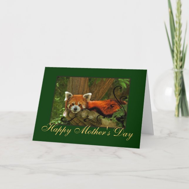 Red Panda Nature Mothers Day Greeting Card (Front)