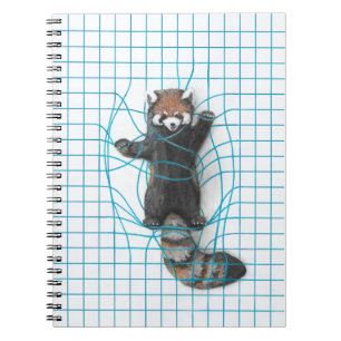 Red panda notebook