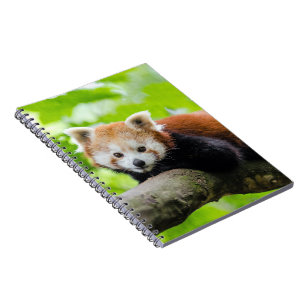 Red Panda Notebook