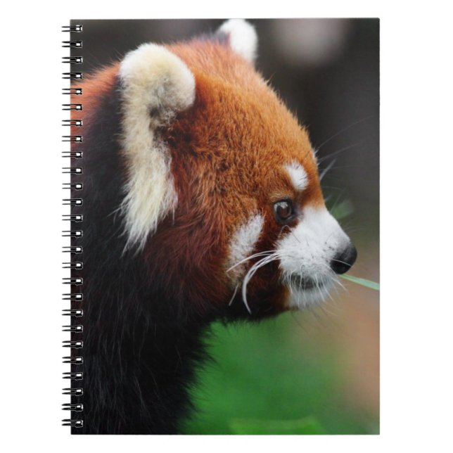 Red panda notebook (Front)
