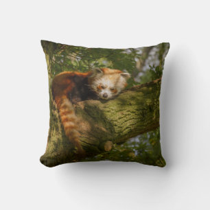 RED PANDA ON GREEN TREE BRANCH CUSHION