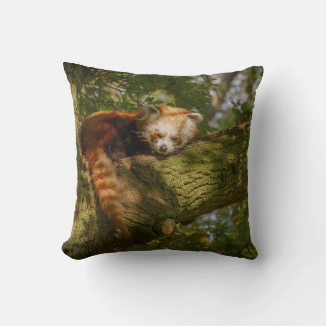 RED PANDA ON GREEN TREE BRANCH CUSHION (Front)