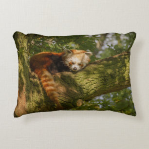 RED PANDA ON GREEN TREE BRANCH DECORATIVE CUSHION