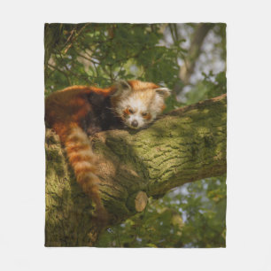 RED PANDA ON GREEN TREE BRANCH FLEECE BLANKET