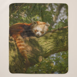 RED PANDA ON GREEN TREE BRANCH SHERPA BLANKET