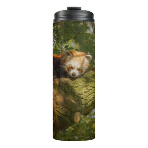 RED PANDA ON GREEN TREE BRANCH THERMAL TUMBLER