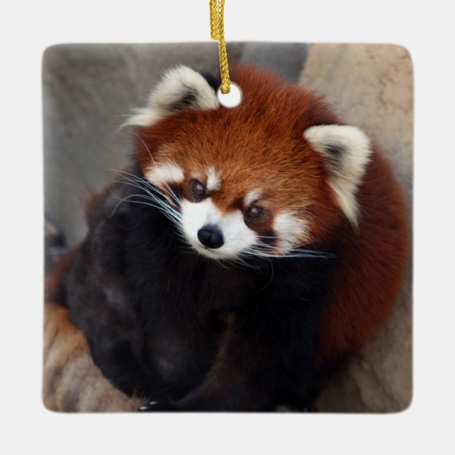 Red Panda Ornament (Front)