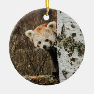 Red Panda Ornament