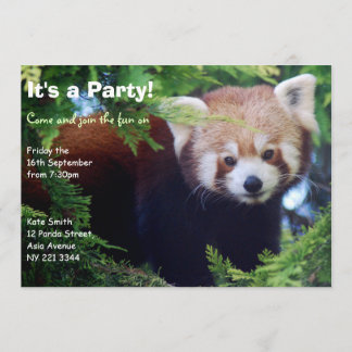Red Panda Party Invitation