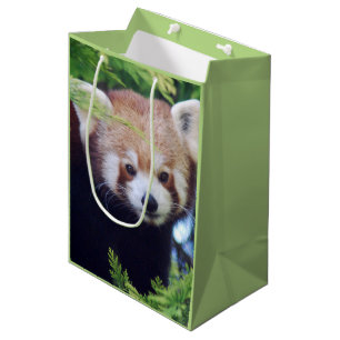 Red Panda Pattern Medium Gift Bag