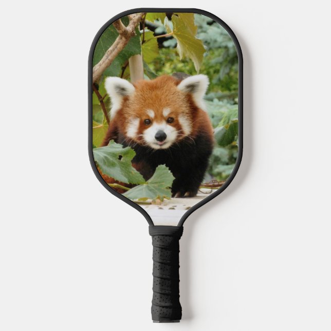 Red Panda  Pickleball Paddle (Front)