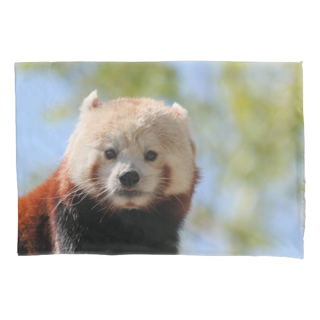 Red Panda Pillowcase (Front)