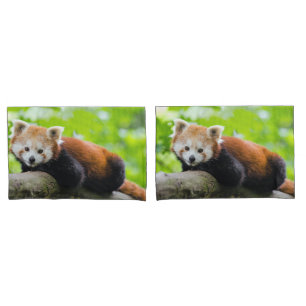 Red Panda Pillowcase