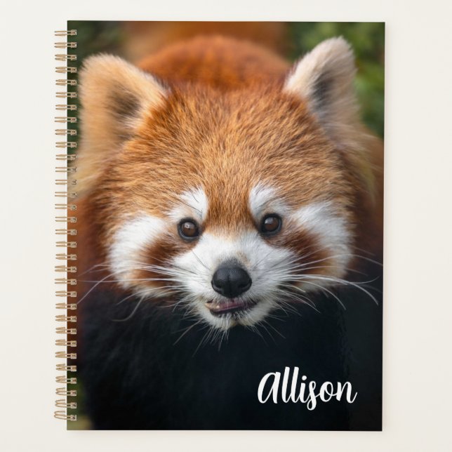Red Panda  Planner (Front)