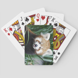Red Panda Playing Cards