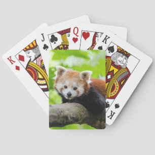 Red Panda Playing Cards