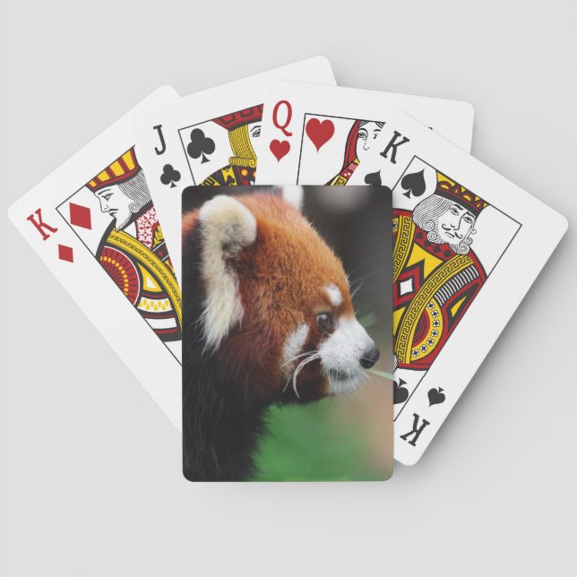 Red panda playing cards (Back)