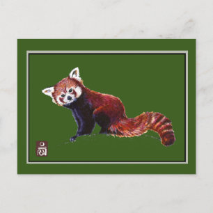 Red Panda Postcard