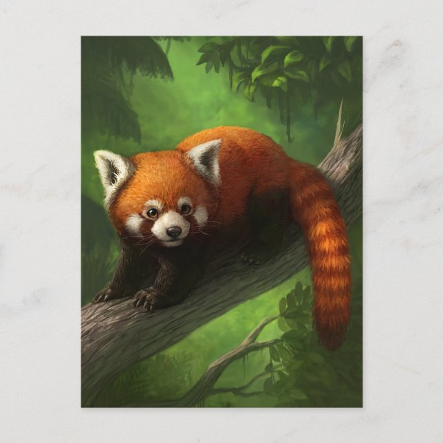 Red Panda Postcard (Front)