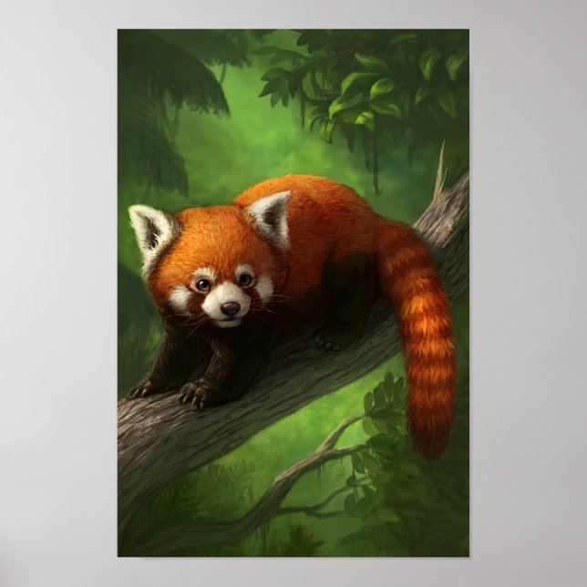 Red Panda Poster (Front)