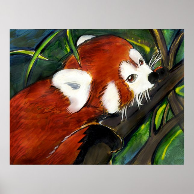 Red Panda  Poster (Front)