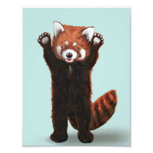 Red Panda Print