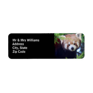 Red Panda Return Address Label