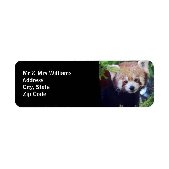 Red Panda Return Address Label (Front)
